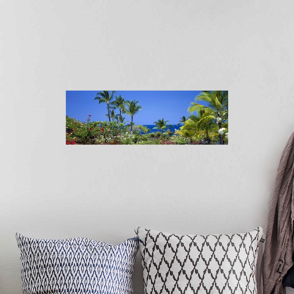 A bohemian room featuring Long panoramic image of palm trees and other flowering plants and bushes along the coastline of H...
