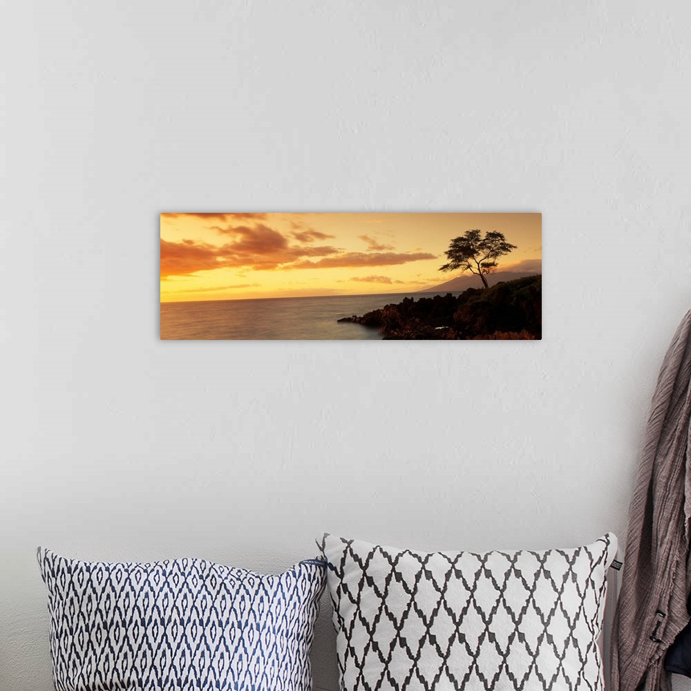 A bohemian room featuring Panoramic photograph displays a lone tree sitting on the rocky shores of an island in the Pacific...