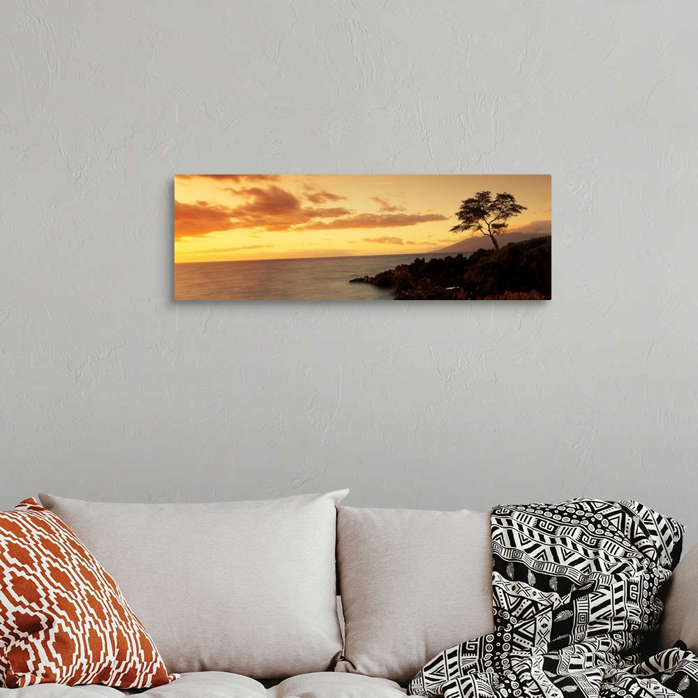 A bohemian room featuring Panoramic photograph displays a lone tree sitting on the rocky shores of an island in the Pacific...