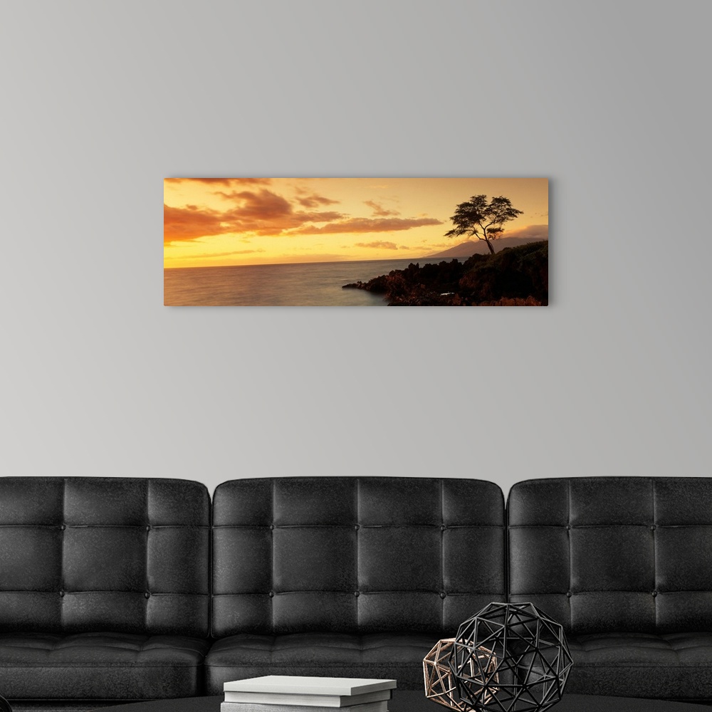 A modern room featuring Panoramic photograph displays a lone tree sitting on the rocky shores of an island in the Pacific...