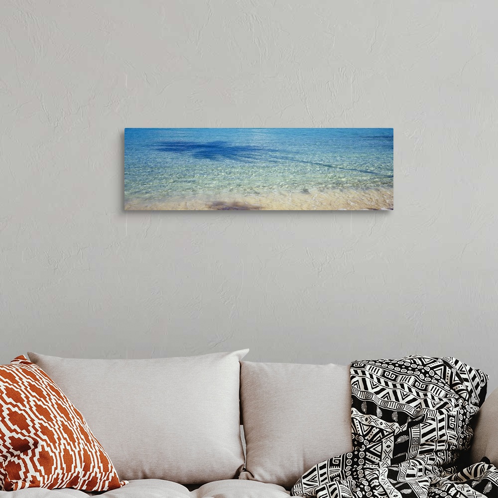 A bohemian room featuring Panoramic photograph of crystal clear ocean water at shoreline with the shadow of palm tree refle...