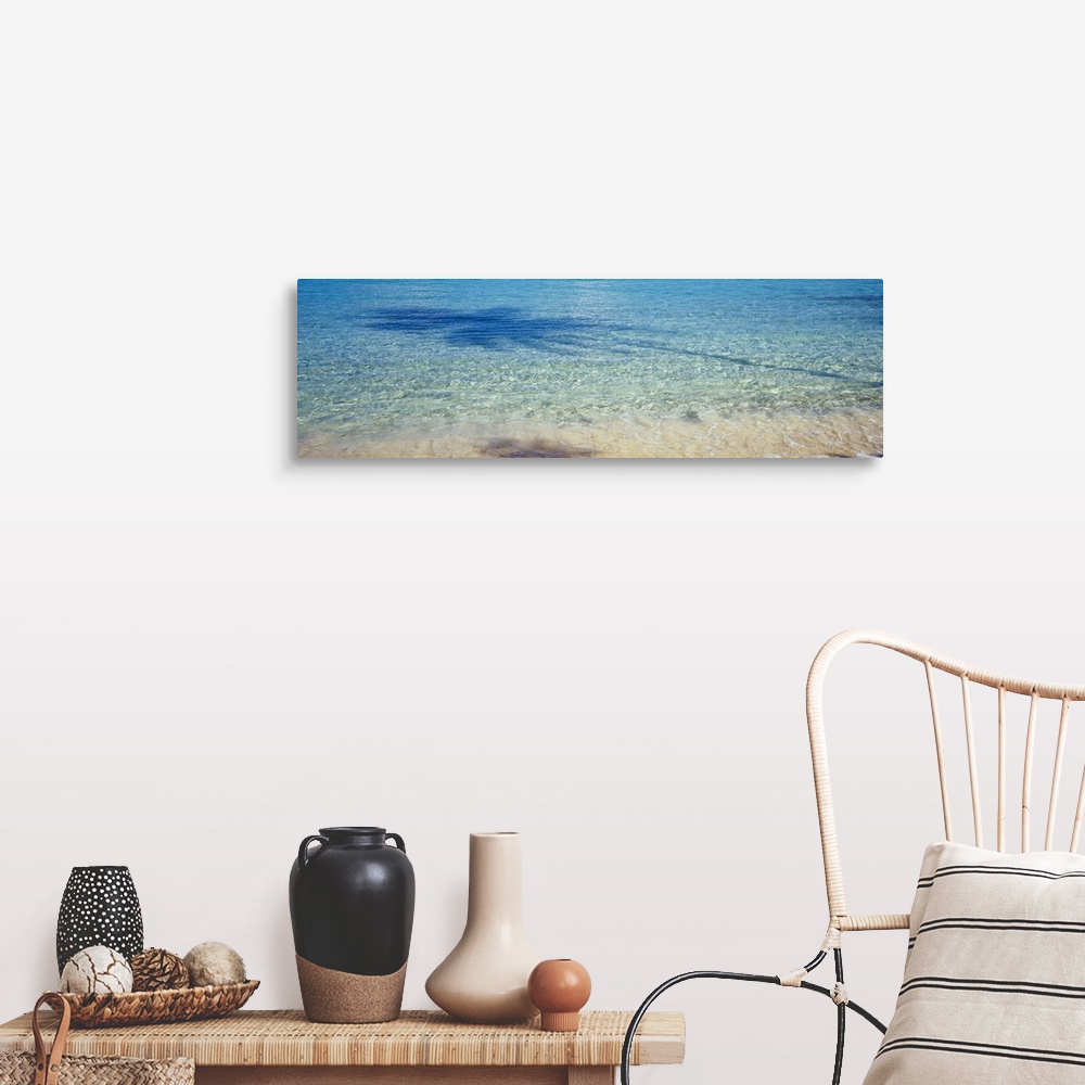 A farmhouse room featuring Panoramic photograph of crystal clear ocean water at shoreline with the shadow of palm tree refle...