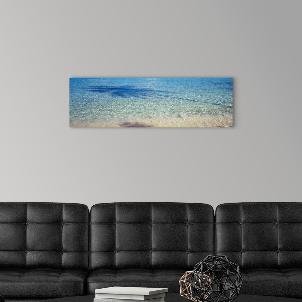 A modern room featuring Panoramic photograph of crystal clear ocean water at shoreline with the shadow of palm tree refle...