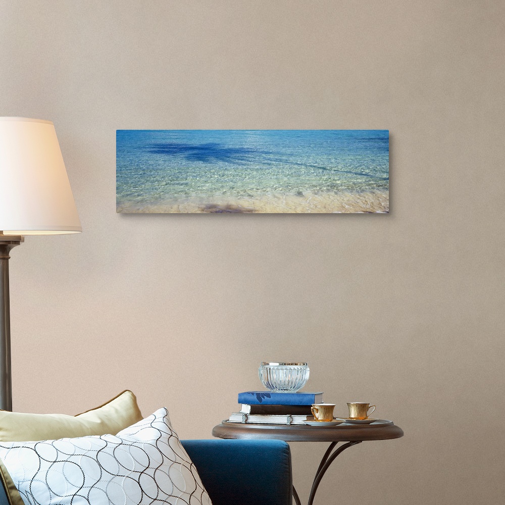 A traditional room featuring Panoramic photograph of crystal clear ocean water at shoreline with the shadow of palm tree refle...