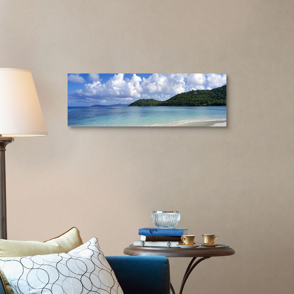 A traditional room featuring Panoramic photo on canvas of a clear ocean meeting a shore with rolling hills on the right side.