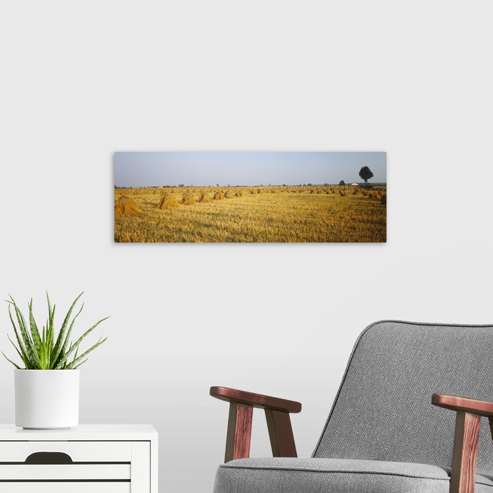 A modern room featuring Hay bales in a field, Indiana