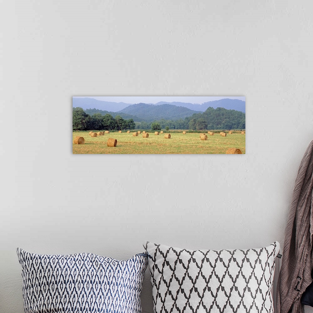 A bohemian room featuring Hay bales in a field, Murphy, North Carolina