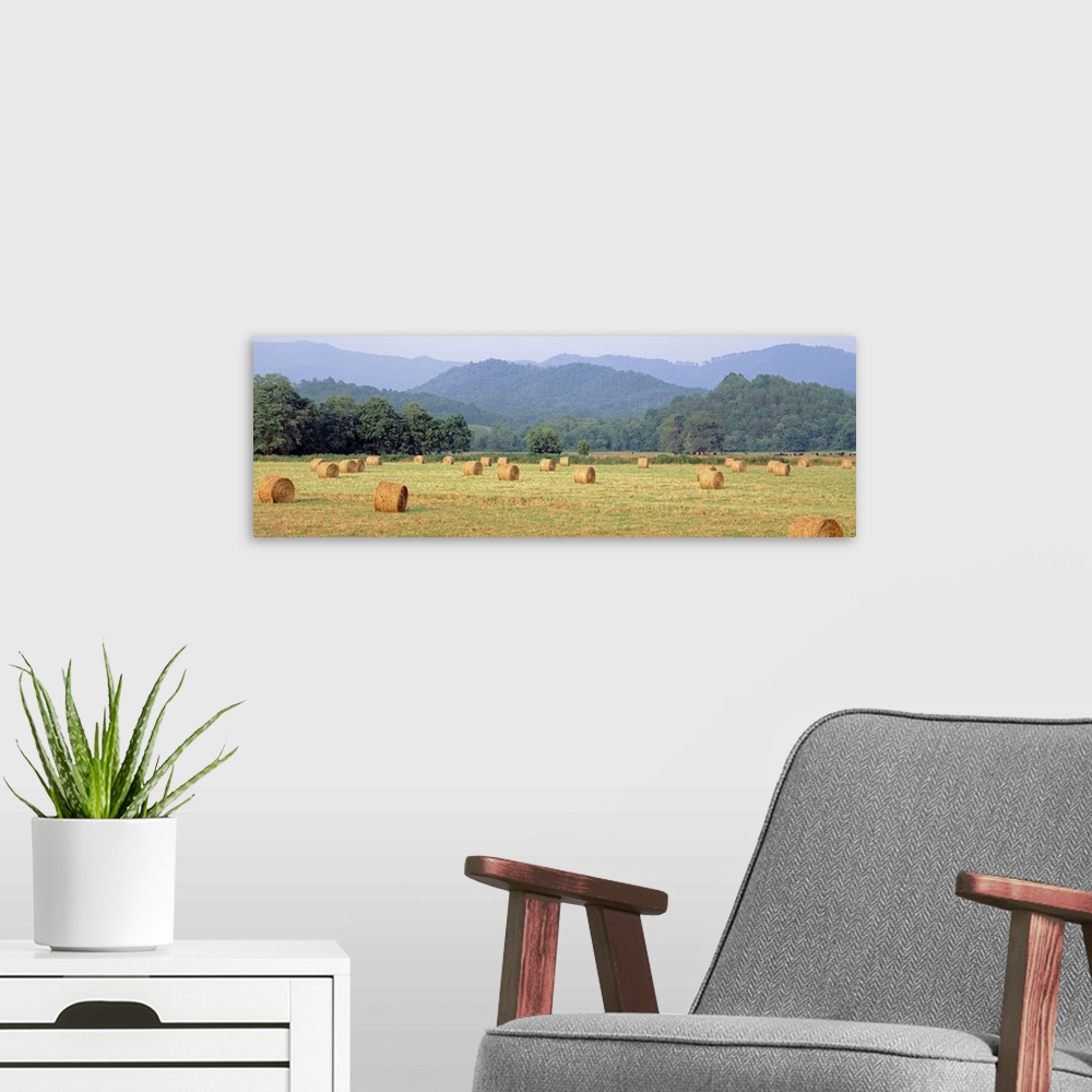 A modern room featuring Hay bales in a field, Murphy, North Carolina