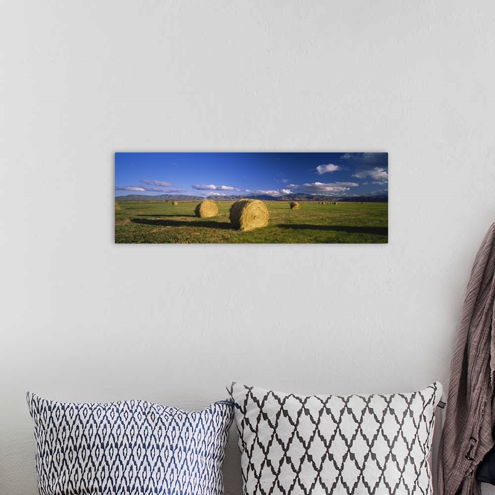 A bohemian room featuring Hay bales in a field, Omarama, South Island, New Zealand