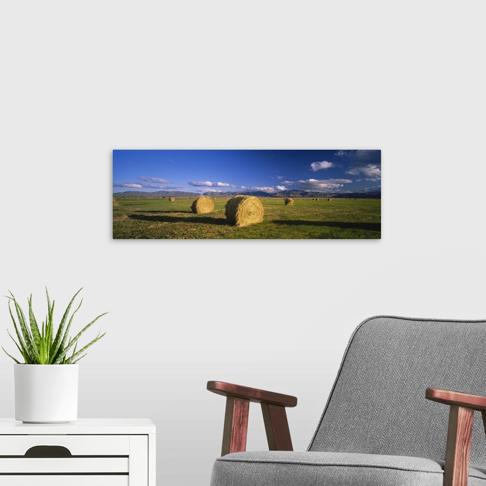 A modern room featuring Hay bales in a field, Omarama, South Island, New Zealand