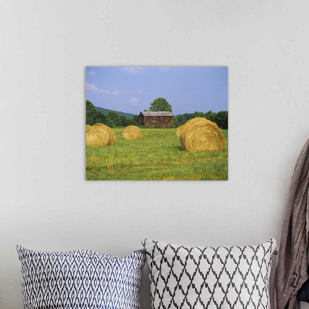 A bohemian room featuring This is a landscape photograph of a field and an old barn on the edge of the forest.