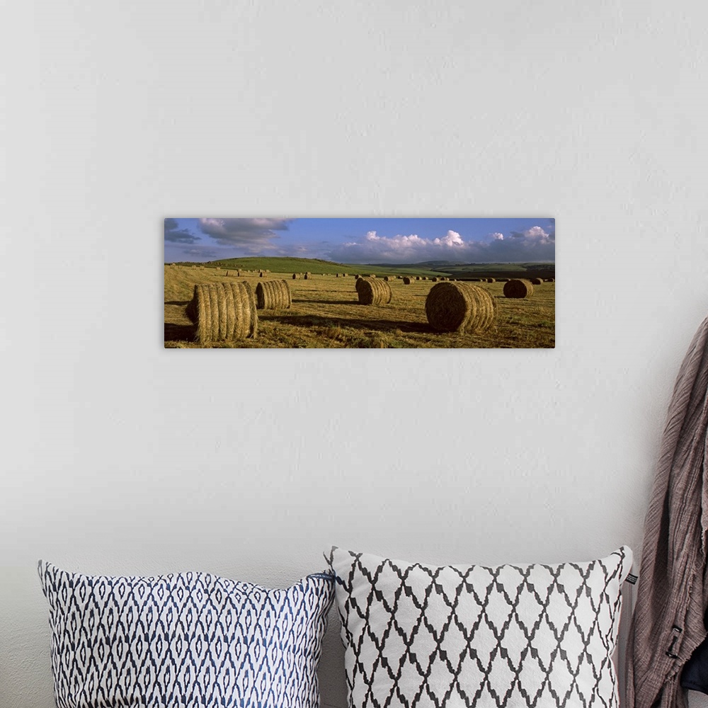 A bohemian room featuring Hay bales in a field, Underberg, KwaZulu Natal, South Africa