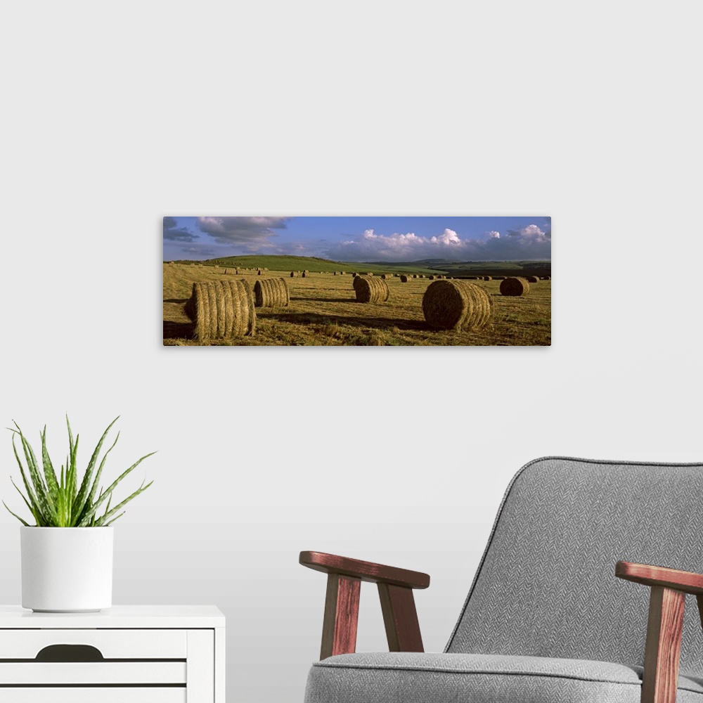 A modern room featuring Hay bales in a field, Underberg, KwaZulu Natal, South Africa
