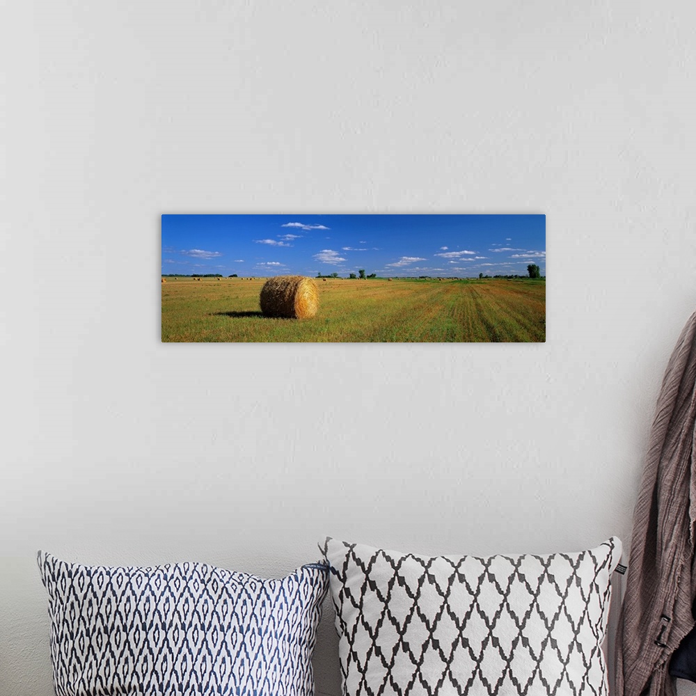 A bohemian room featuring A large panoramic piece of a single bale of hay in a wide open field with an almost cloudless blu...