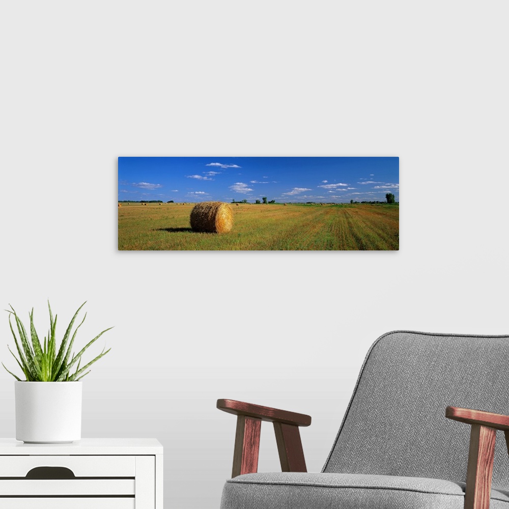 A modern room featuring A large panoramic piece of a single bale of hay in a wide open field with an almost cloudless blu...