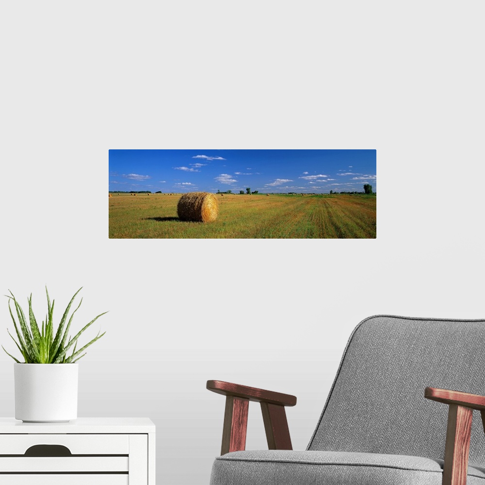 A modern room featuring A large panoramic piece of a single bale of hay in a wide open field with an almost cloudless blu...