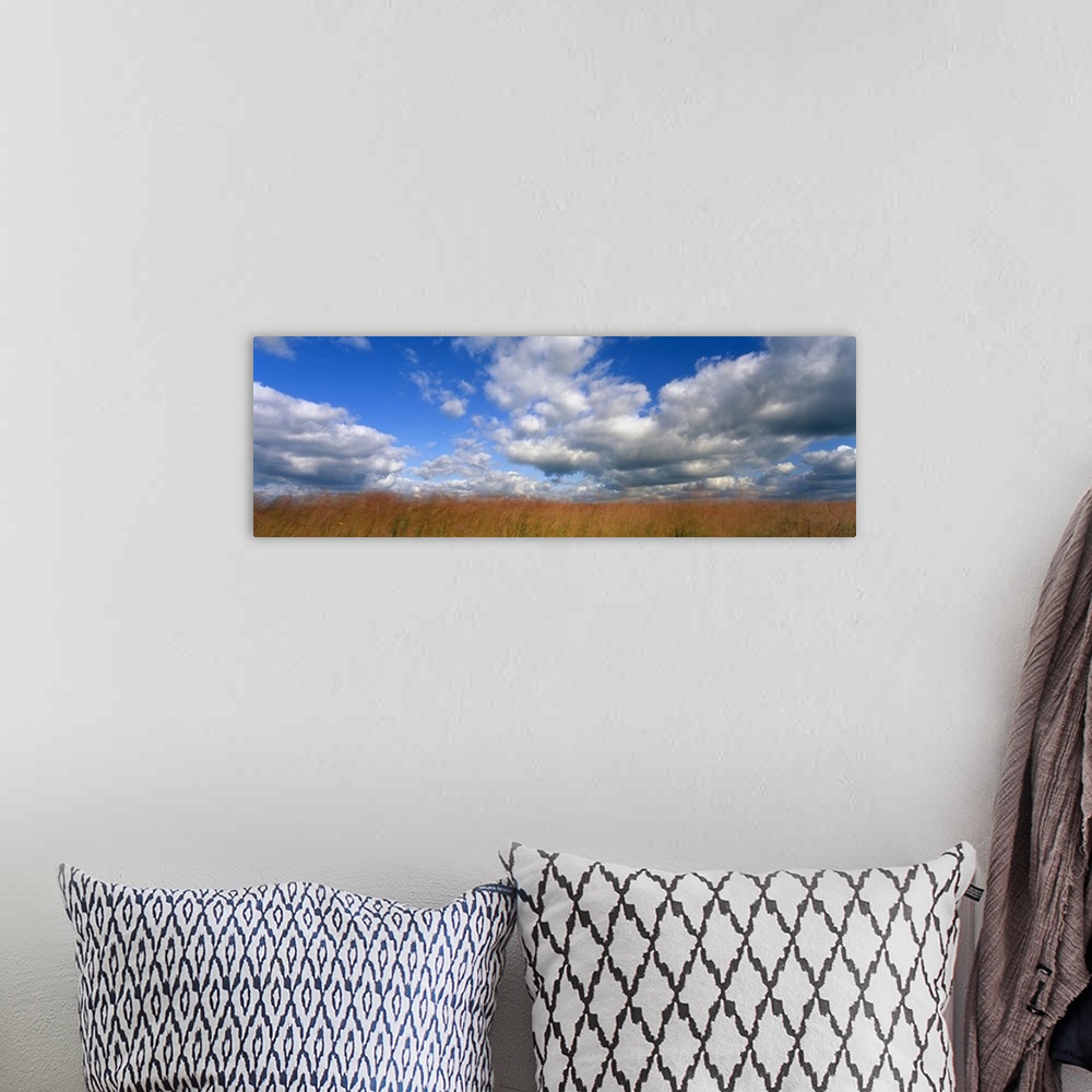 A bohemian room featuring Giant, horizontal photograph of a vast, golden field beneath a blue sky with billowing white clou...