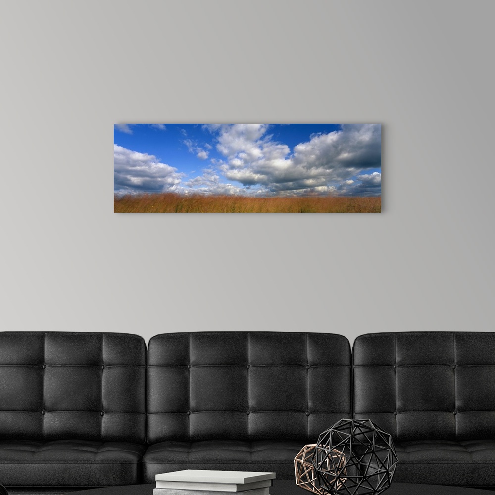 A modern room featuring Giant, horizontal photograph of a vast, golden field beneath a blue sky with billowing white clou...