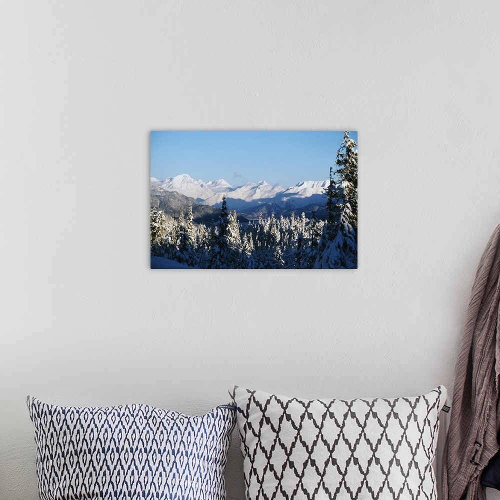 A bohemian room featuring Giant, horizontal, high angle photograph of snow covered pine trees near the Chugach Mountains in...