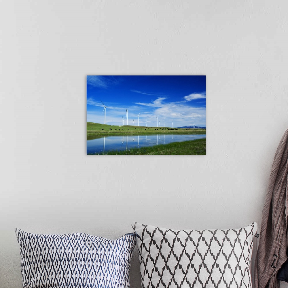 A bohemian room featuring Herd of cattle grazing beneath row of wind farm turbines, reflection in pond water, Montana
