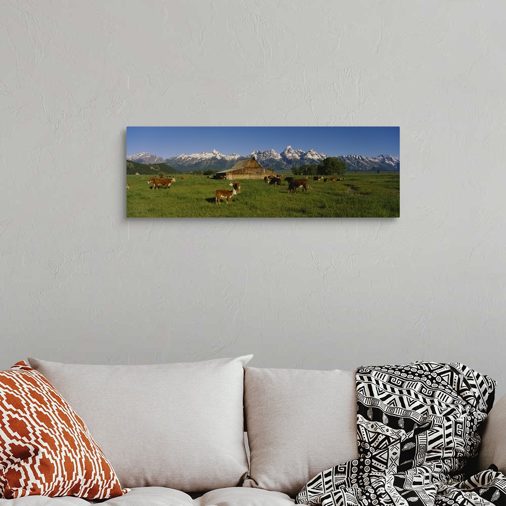 A bohemian room featuring Long and narrow photo on canvas of cows in a pasture with a barn and rugged snowy mountains in th...