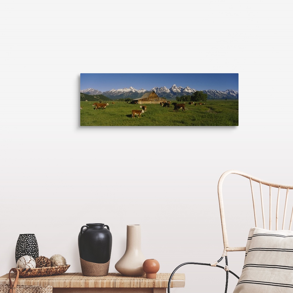 A farmhouse room featuring Long and narrow photo on canvas of cows in a pasture with a barn and rugged snowy mountains in th...