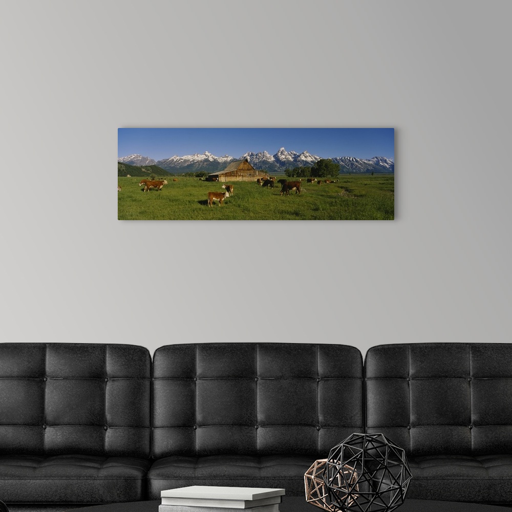 A modern room featuring Long and narrow photo on canvas of cows in a pasture with a barn and rugged snowy mountains in th...