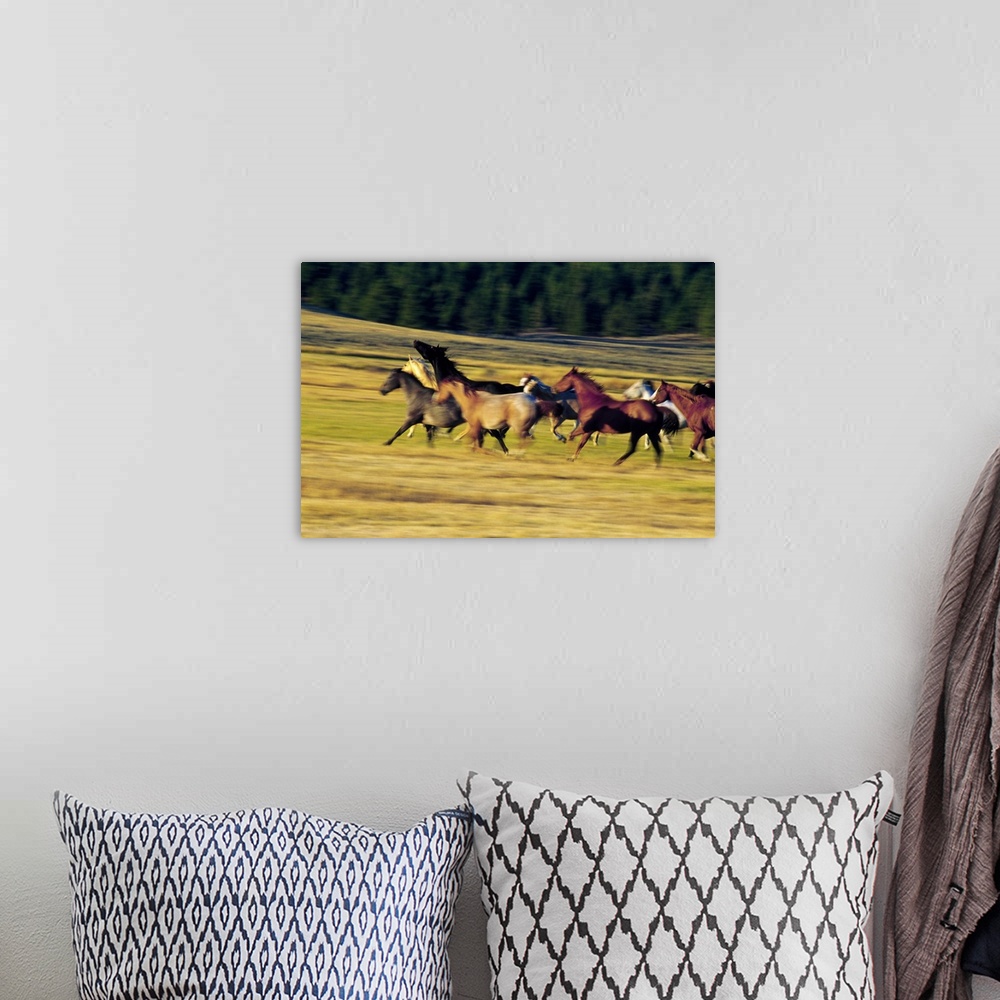 A bohemian room featuring Wall docor of a pack of horses running through a field.