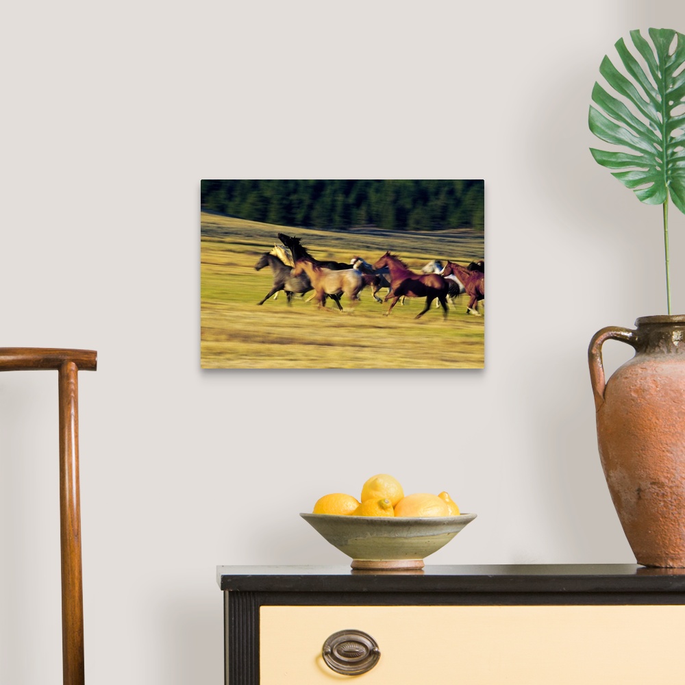A traditional room featuring Wall docor of a pack of horses running through a field.