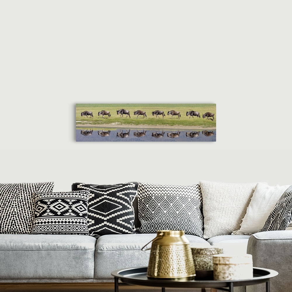 A bohemian room featuring Herd of wildebeests walking in a row along a river, Ngorongoro Crater, Ngorongoro Conservation Ar...