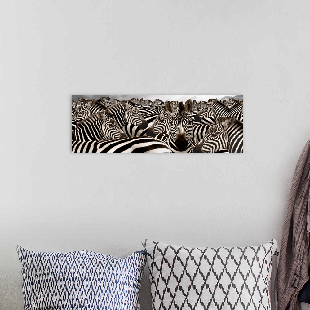 A bohemian room featuring Wide angle photograph on large canvas of a herd of zebras beneath a cloudy grey sky.