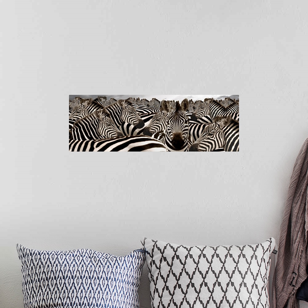 A bohemian room featuring Wide angle photograph on large canvas of a herd of zebras beneath a cloudy grey sky.