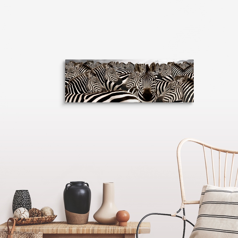 A farmhouse room featuring Wide angle photograph on large canvas of a herd of zebras beneath a cloudy grey sky.