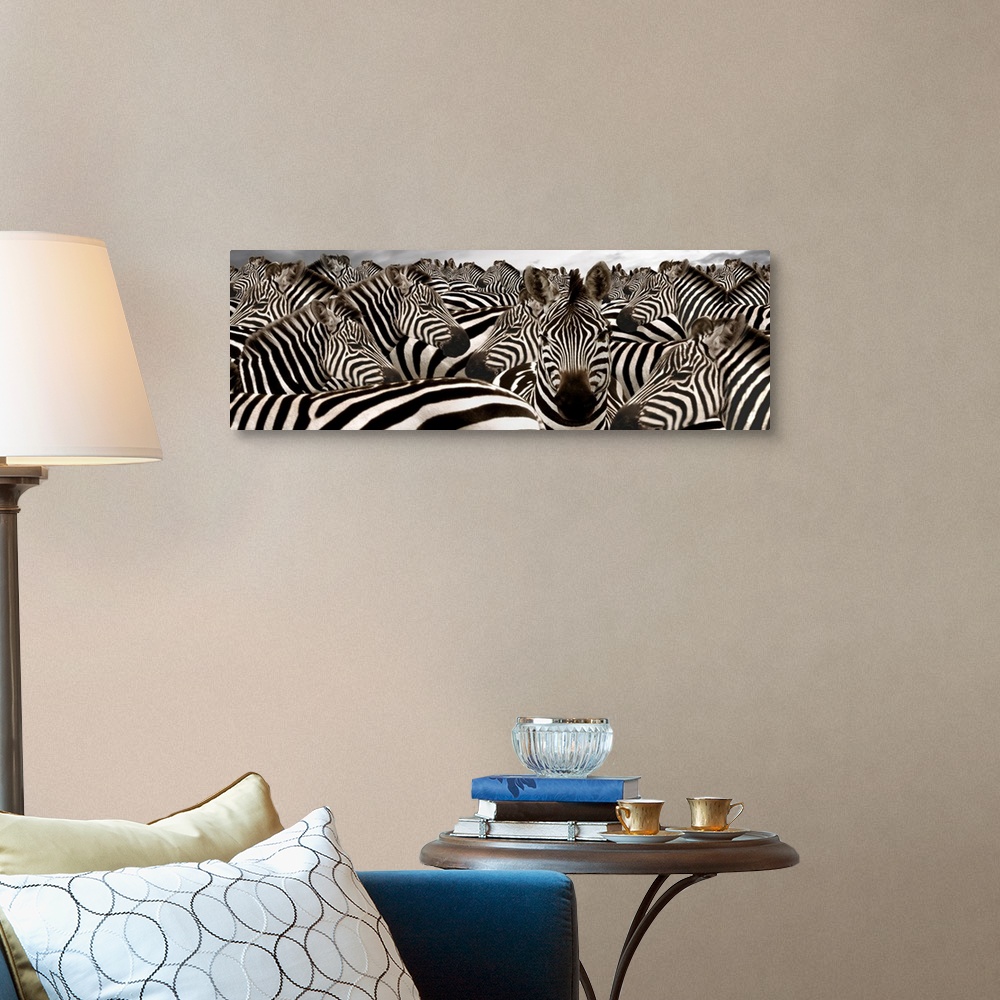 A traditional room featuring Wide angle photograph on large canvas of a herd of zebras beneath a cloudy grey sky.