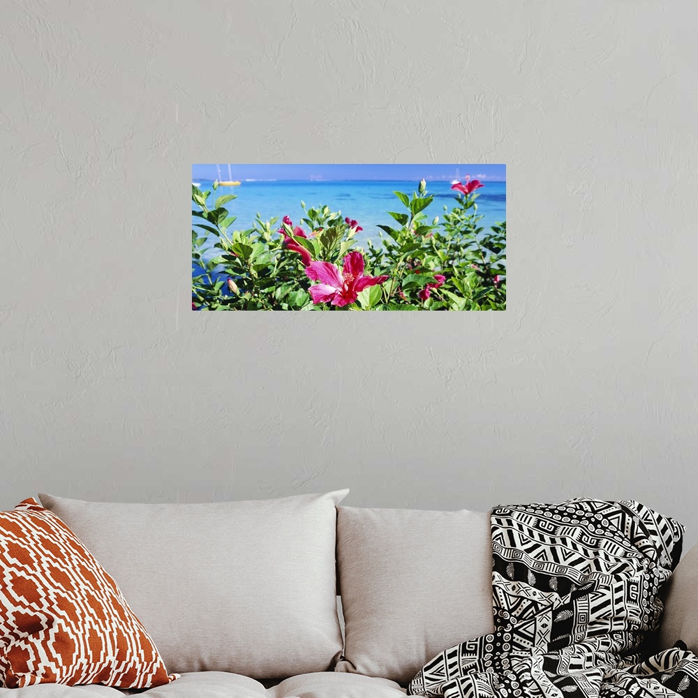 A bohemian room featuring This horizontal wall art is a landscape photograph of pink flowers growing near the shore of a tr...