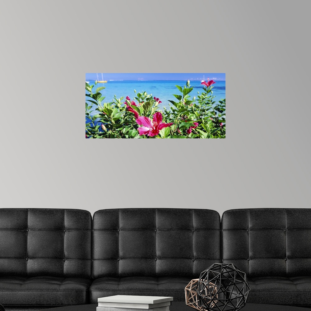 A modern room featuring This horizontal wall art is a landscape photograph of pink flowers growing near the shore of a tr...