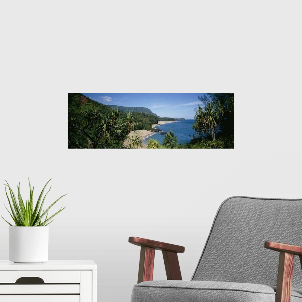 A modern room featuring Panoramic photograph taken through trees and foliage looking out to the ocean and cliffs that lin...