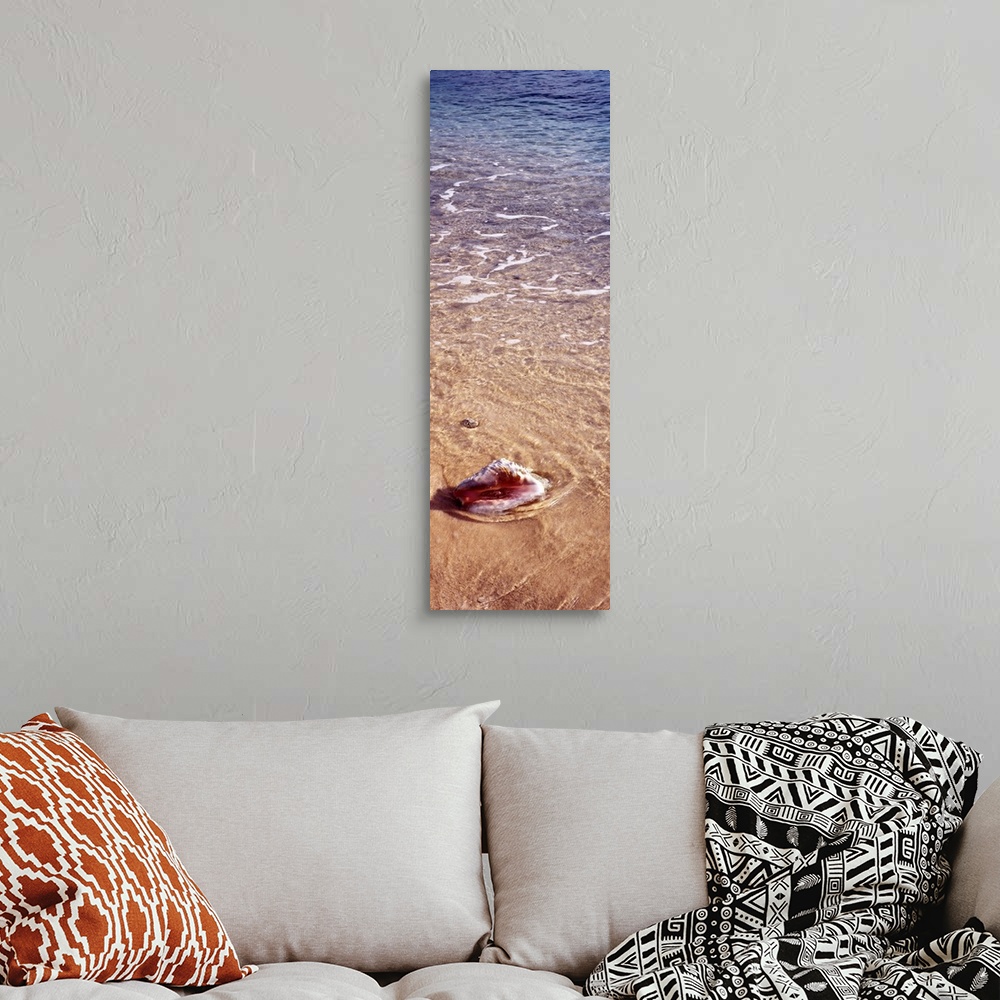 A bohemian room featuring Vertical panoramic of ocean waves running over a seashell in the sand.