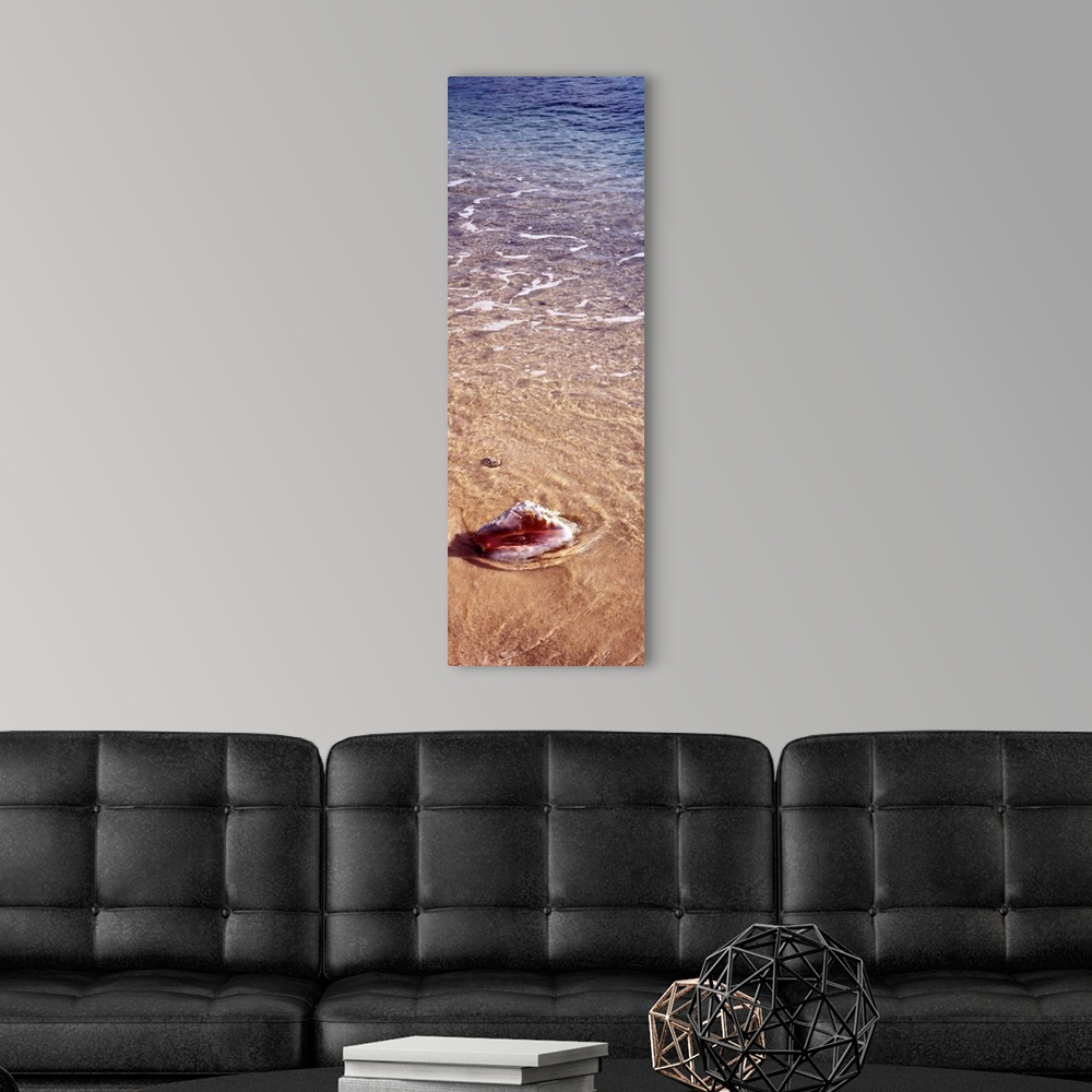 A modern room featuring Vertical panoramic of ocean waves running over a seashell in the sand.