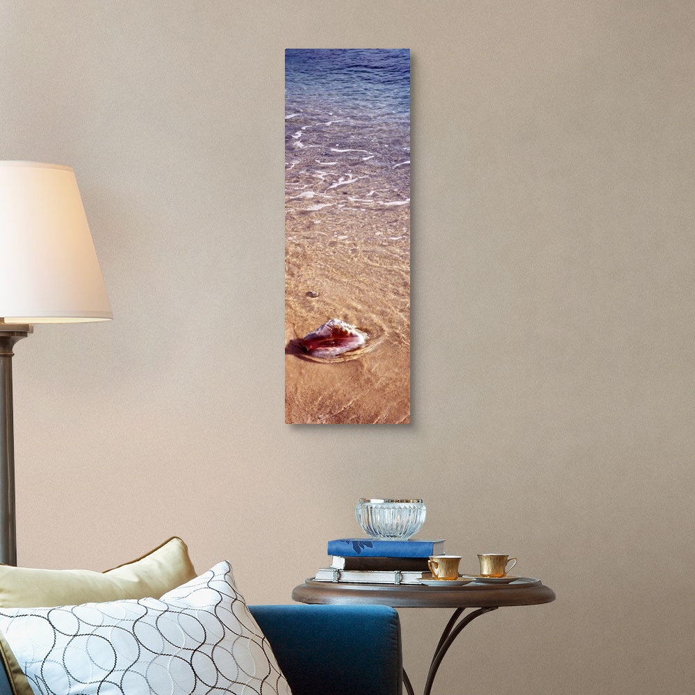 A traditional room featuring Vertical panoramic of ocean waves running over a seashell in the sand.