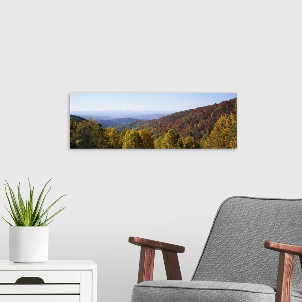 A modern room featuring High angle view of a forest, Blue Ridge Parkway, North Carolina