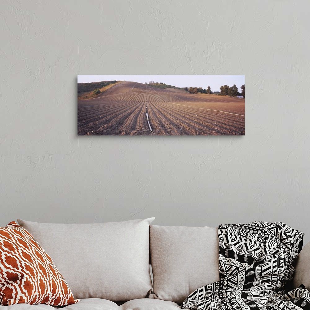A bohemian room featuring High angle view of a plowed field, Camarillo, California