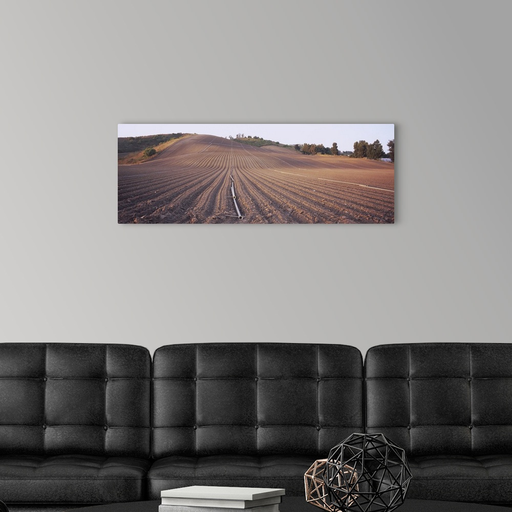 A modern room featuring High angle view of a plowed field, Camarillo, California