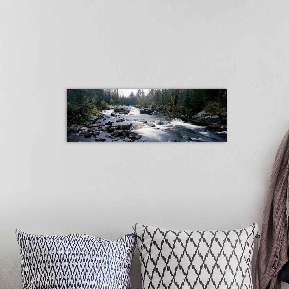 A bohemian room featuring High angle view of a river flowing through a forest, Black River, Adirondack Mountains, New York ...