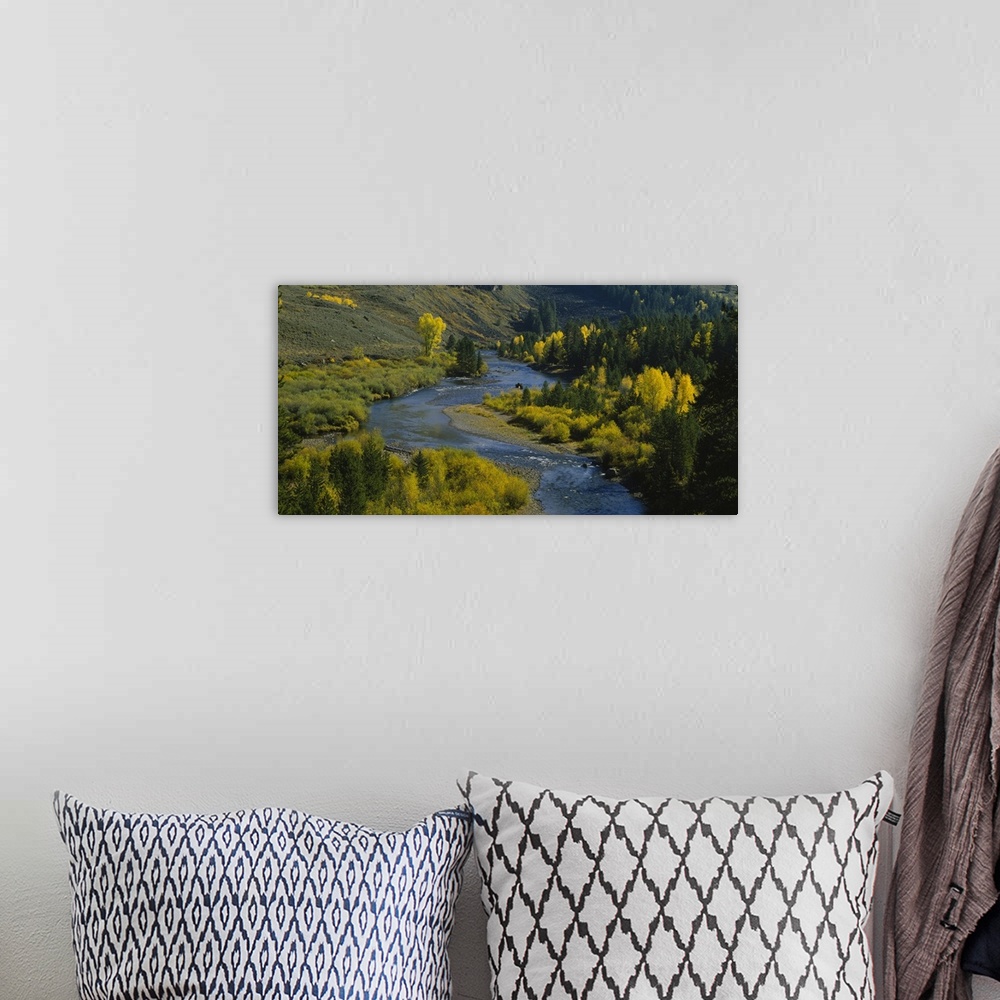 A bohemian room featuring Panoramic photograph of water winding through valley lined with trees.