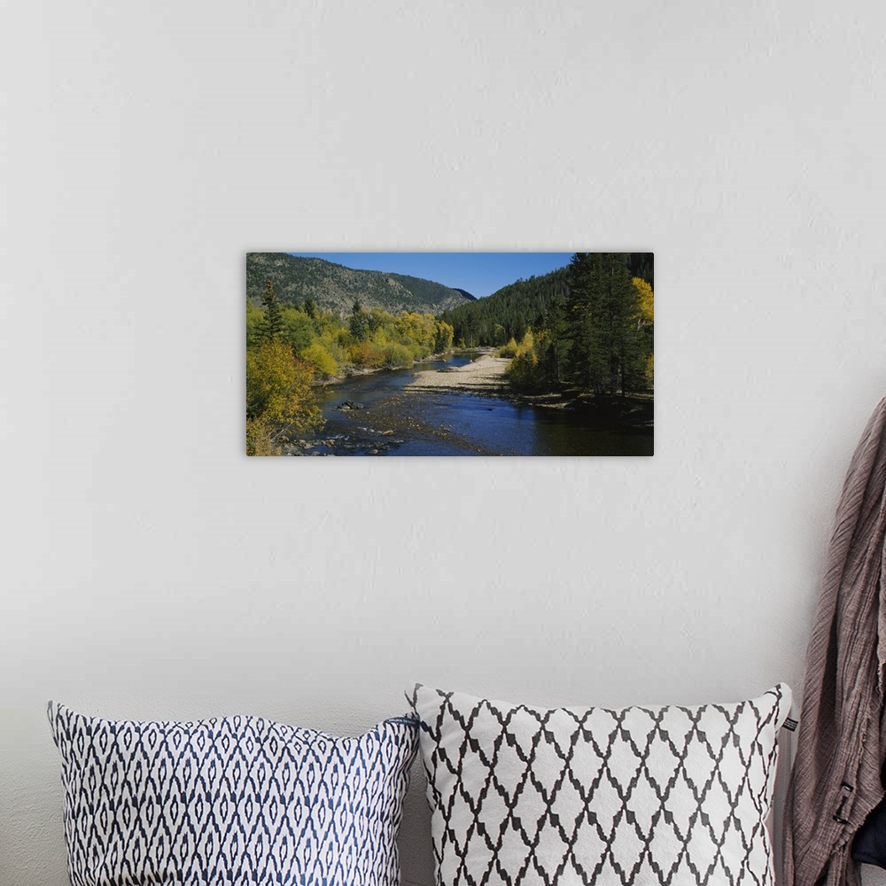 A bohemian room featuring High angle view of a river in the forest, Cache La Poudre River, Colorado