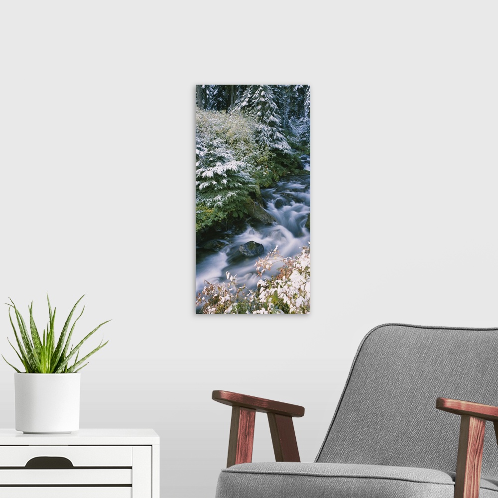 A modern room featuring High angle view of a river in the forest, Okanogan National Forest, Washington State