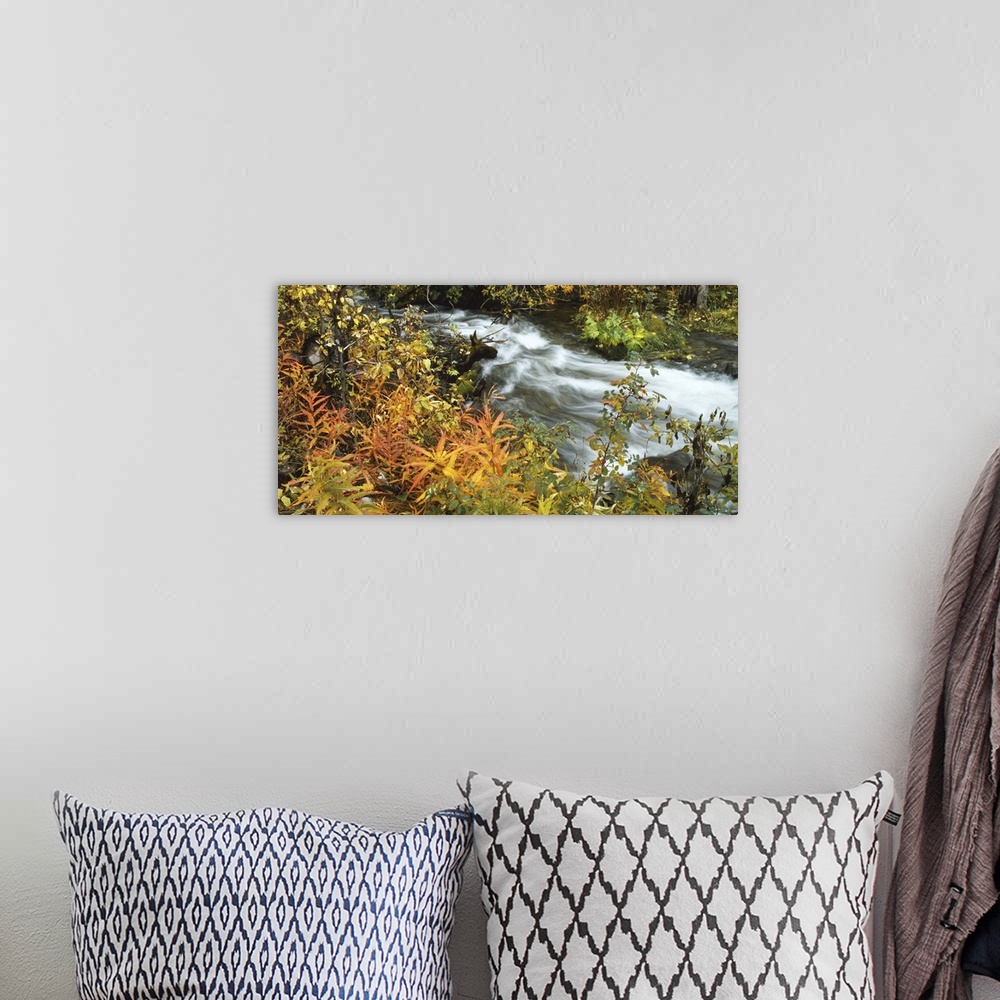 A bohemian room featuring High angle view of a river in the forest, Takhini River, Whitehorse, Canada
