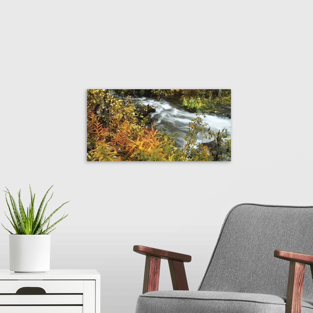 A modern room featuring High angle view of a river in the forest, Takhini River, Whitehorse, Canada