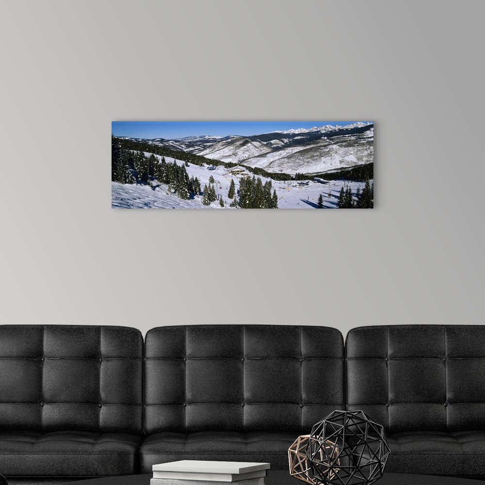 A modern room featuring Large landscape photograph of a snow covered hillside lined with trees, at a ski resort in Vail, ...